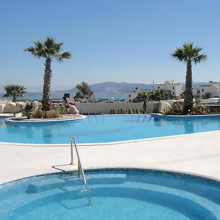 Horizon Sky Cherry 7 * Kıyıkıslacık